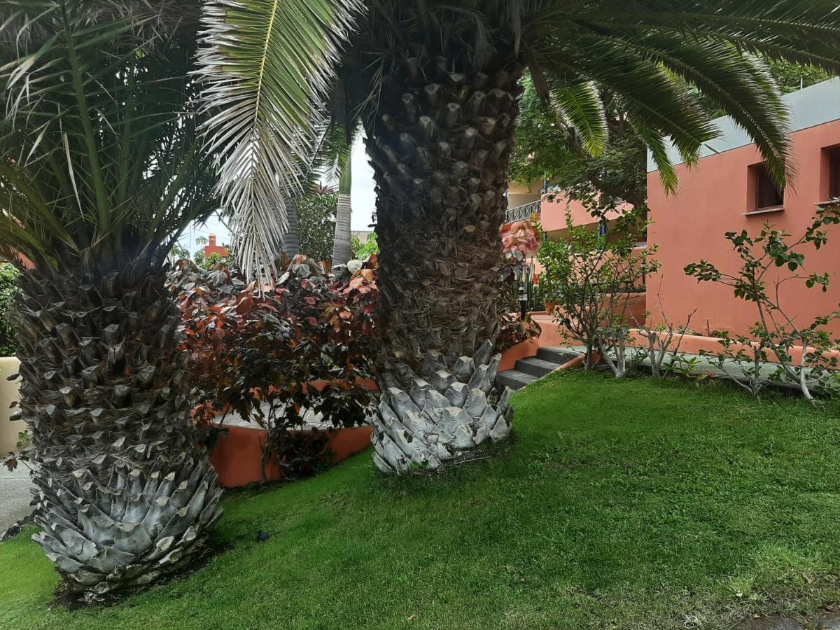 Aparthotel El Cerrito Playa Cancajos.- BreNa Baja  Extérieur photo