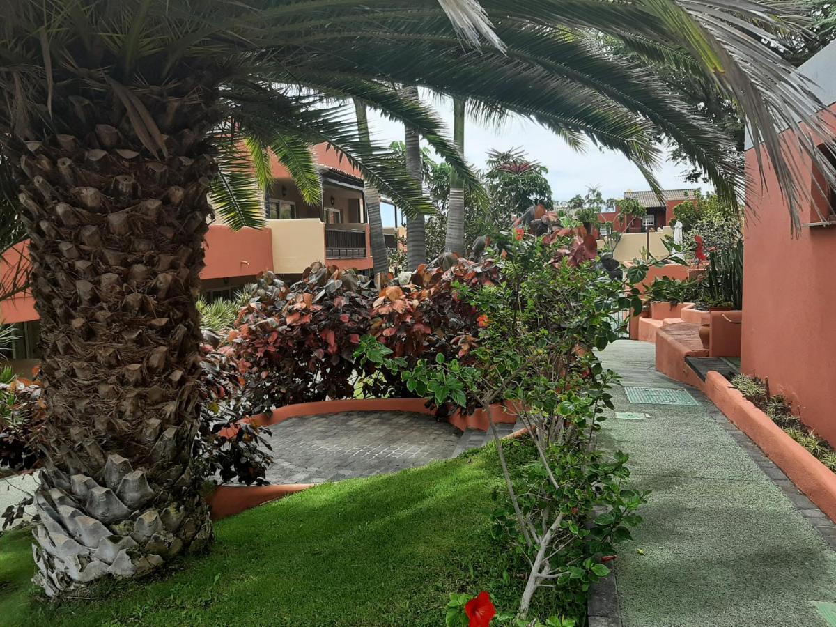 Aparthotel El Cerrito Playa Cancajos.- BreNa Baja  Extérieur photo